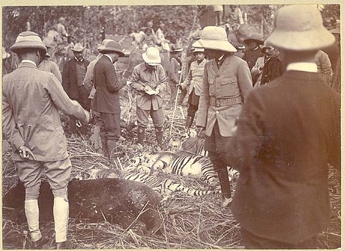 ���� ���� ������ �� ���� ������