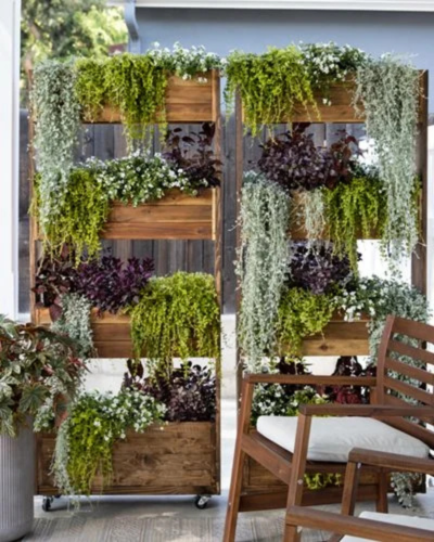 Backyard layout planning for micro-garden